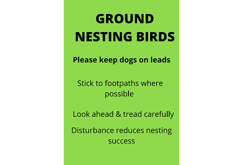 Ground Nesting Birds